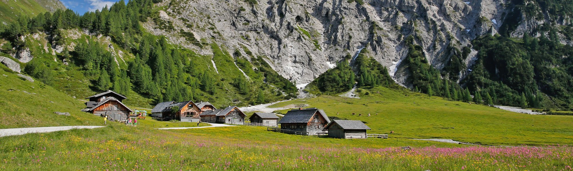 Herrliche Ursprungalm in der Wanderregion Schladming-Dachstein